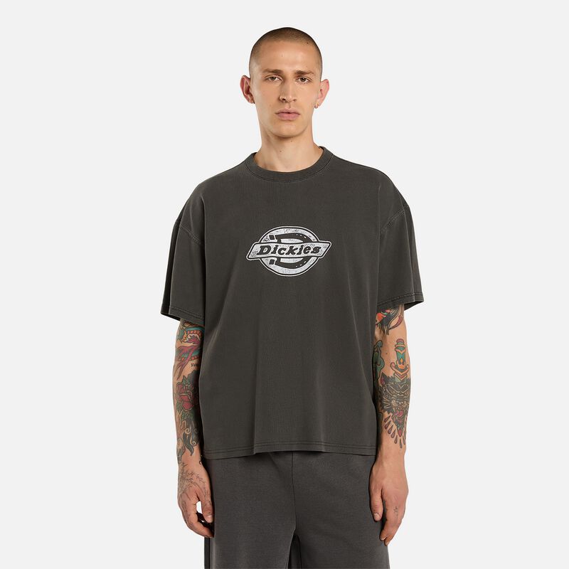 Camiseta Dickies Plainville Gris