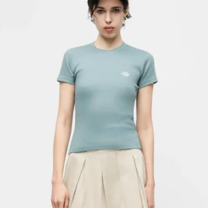 Camiseta  Dickies de peso medio Gladeville Azul