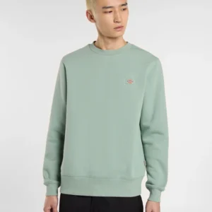 Sudadera Dickies Oakport Verde