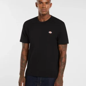 Camiseta Dickies ligera Mapleton SS Black
