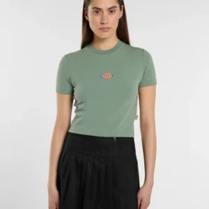Camiseta Dickies Maple Valley Verde