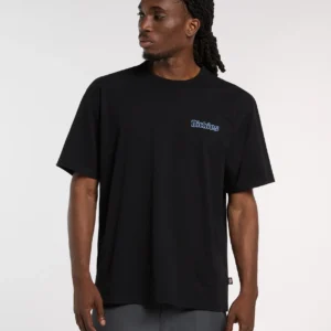 Camiseta Dickies de peso medio Fairlawn Negra