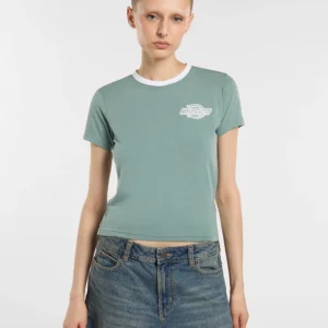 Camiseta Dickies ribeteada ligera Plainville