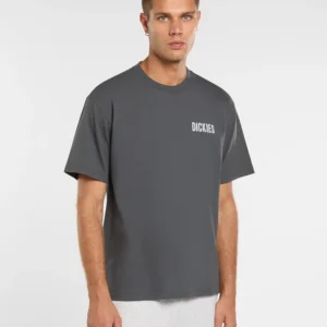 Camiseta Dickies de peso medio Wolfhurst Gris