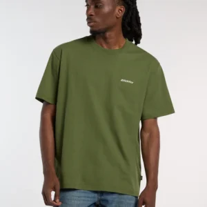 Camiseta Dickies de peso medio Loretto Verde
