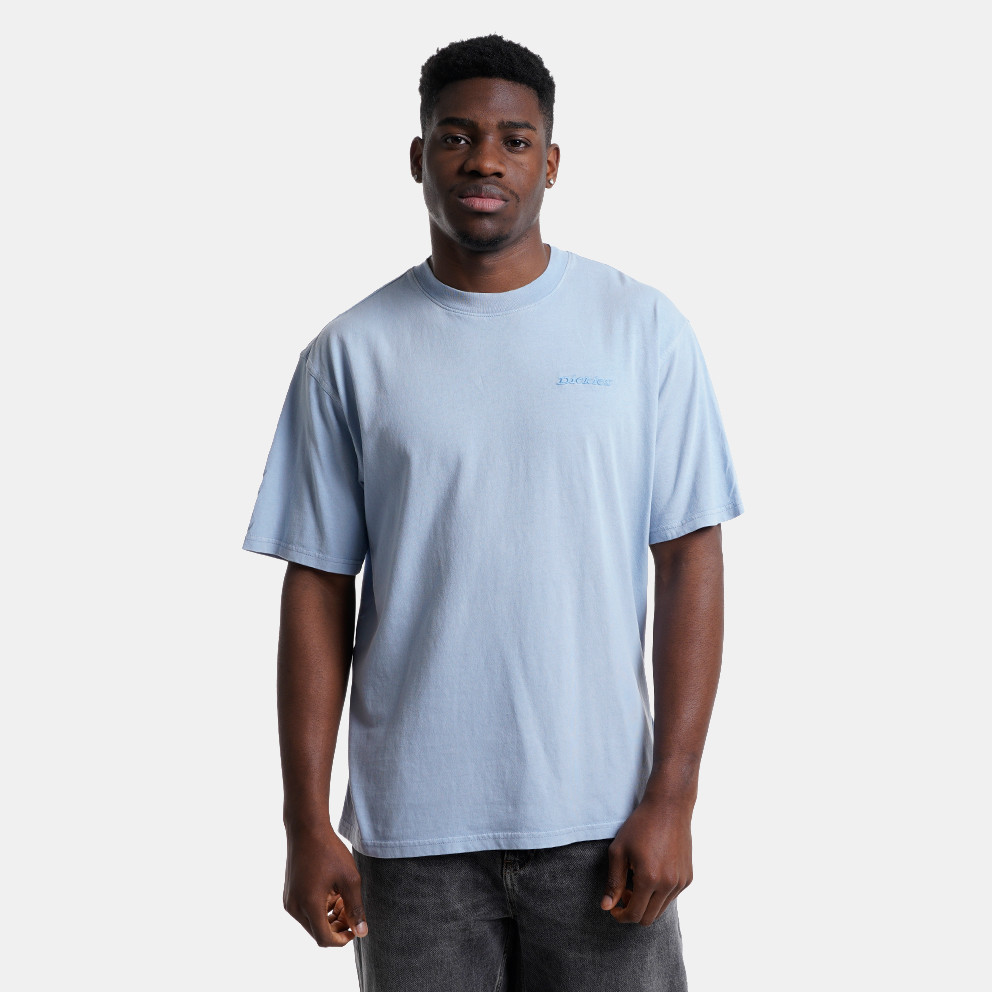 Camiseta Dickies Plentywood Azul