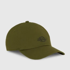 Gorra Dickies Essential Verde