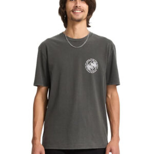 Camiseta Volcom Circlepalm Gris