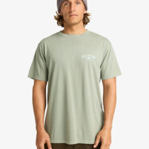 Camiseta Billabong Wave Washed Verde