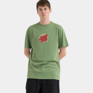Camiseta Santa Cruz Delfino Spotlight Verde
