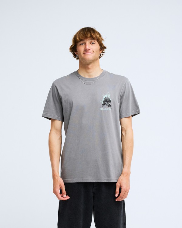 Camiseta Billabong Retro Poster Gris - Imagen 2