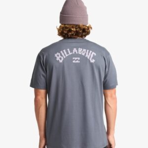 Camiseta Billabong Arch Wave Gris